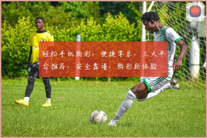 轻松手机购彩，便捷享乐，三大平台推荐，安全靠谱，购彩新体验