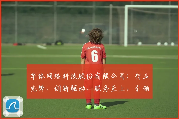 华体网络科技股份有限公司：行业先锋，创新驱动，服务至上，引领未来三步跨越