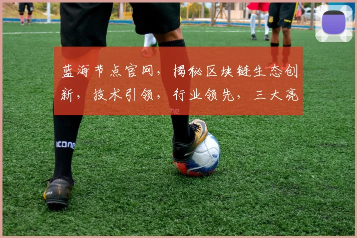 蓝海节点官网，揭秘区块链生态创新，技术引领，行业领先，三大亮点汇聚一处