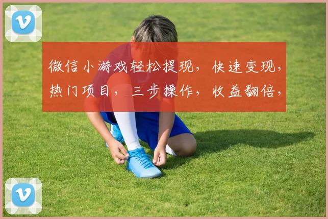 微信小游戏轻松提现，快速变现，热门项目，三步操作，收益翻倍，抢购中