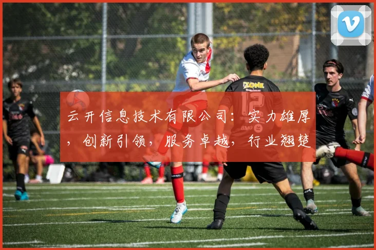 云开信息技术有限公司：实力雄厚，创新引领，服务卓越，行业翘楚，值得信赖